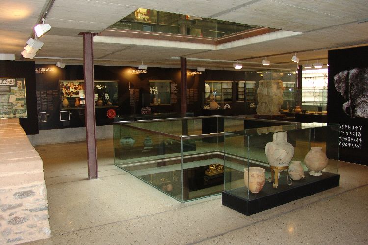 Museo Arqueológico Municipal "Jerónimo Molina"